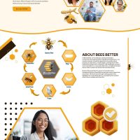 web 5
